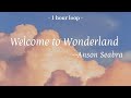 Anson Seabra-Welcome to Wonderland (Lyrics 中英字幕 | 中文歌詞 | 1 Hour Loop | 1小時循環版)