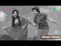 Idhaya Veenai Kashmir Beautiful Song