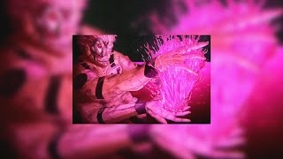 Download lagu 30 minutes of Little Dark Age outro (after lyrics) [Super Slowed   Reverb] mp3