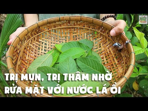 Bí quyết làm đẹp da, trị thâm mụn ... tuyệt vời từ lá ổi