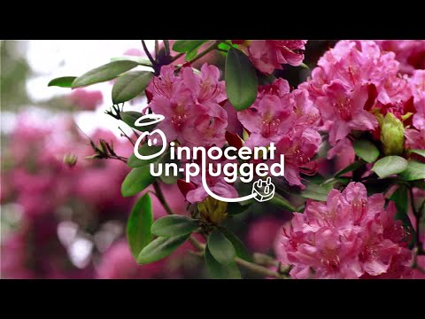 Innocent Drinks video 4