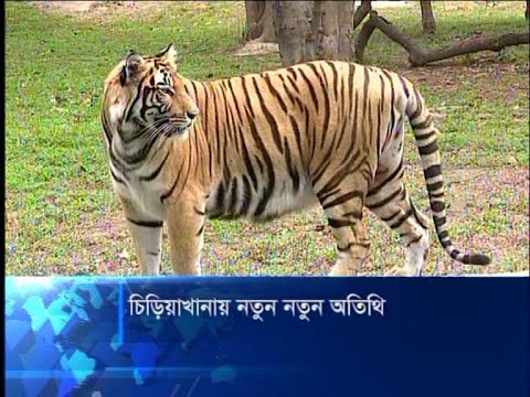 লকডাউনে চিড়িয়াখানায় নতুন অতিথি