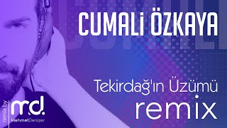 Tekirdağın Üzümü - Cumali Özkaya REMIX