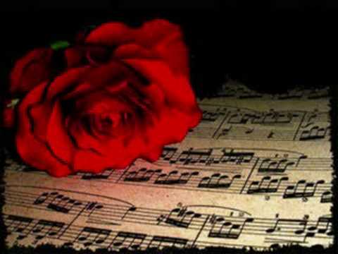 DJ YaRaMaZBoY - NoT aLoNe