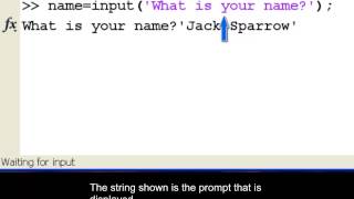 Using the input command in MATLAB.