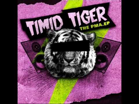 Timid Tiger   Palm Beach Bar