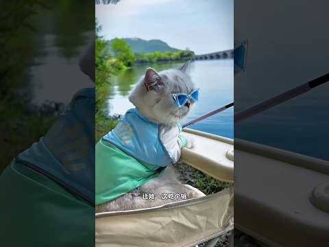 The Fisher Cat