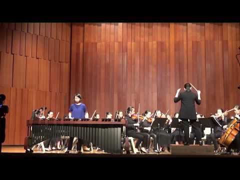 Concerto No. 2 for Marimba and Orchestra, 1st movement, by Ney Rosauro | Ng Hoi Yin