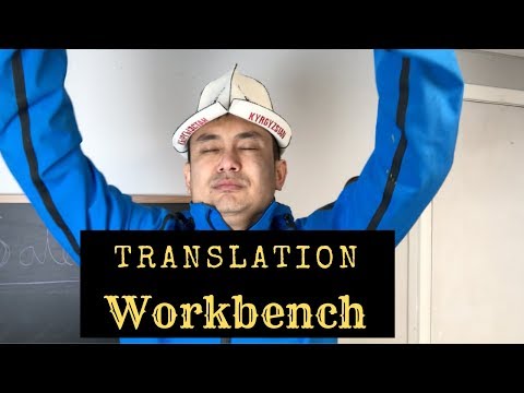Understand Translation Workbench in 6 Min