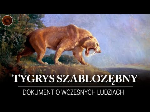 Tygrysy szablozębne – groźni drapieżcy prehistorii | Film dokumentalny