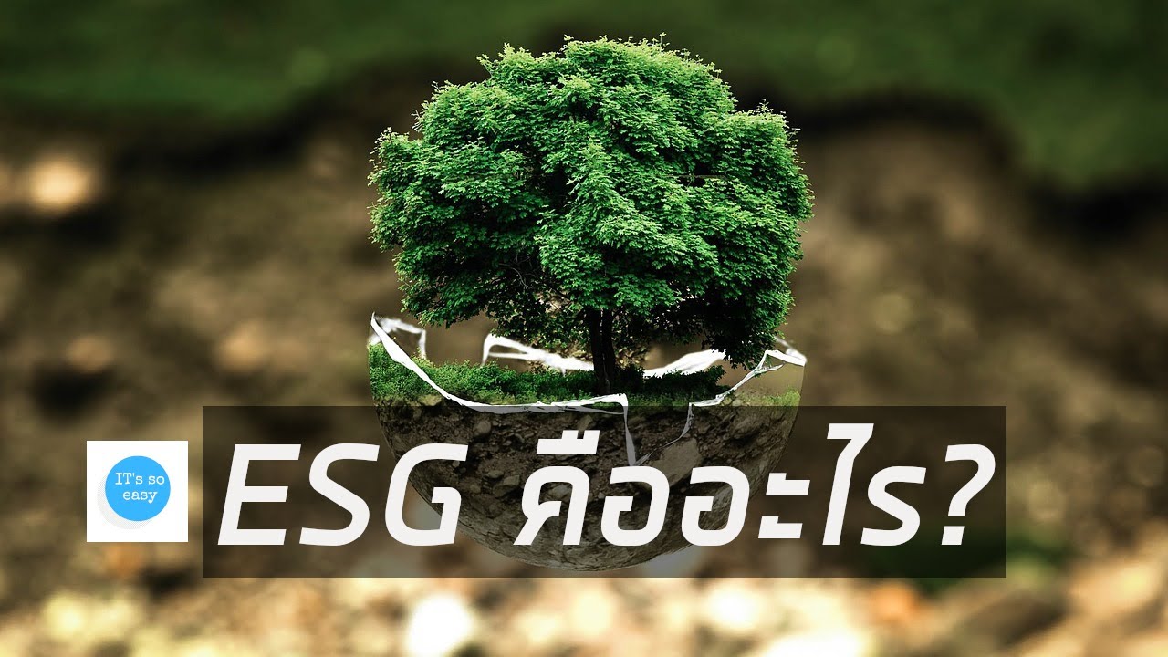 ESG คืออะไร ทำไมออดิทจำเป็นต้องรู้