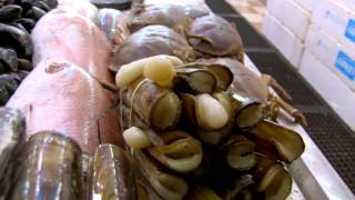 Трейлер: Лондон - Современный Вавилон