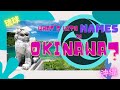 What S Up With Okinawan Names A Language History