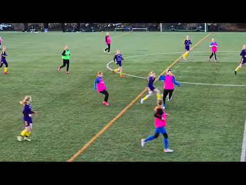 T14 LAUTP - PEPO harkkapeli 30.3.2024