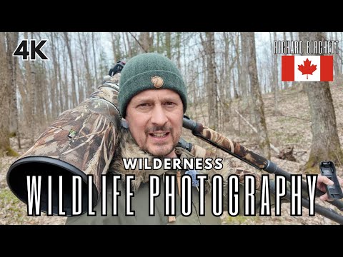 Wilderness Wildlife & Nature Photography Canada | Forest Lakes and Rivers | RAW Nature at its BEST