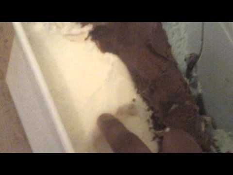 Our special ice cream and mixing lot of different