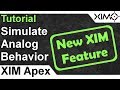 XIM APEX Simulate Analog Behavior Tutorial
