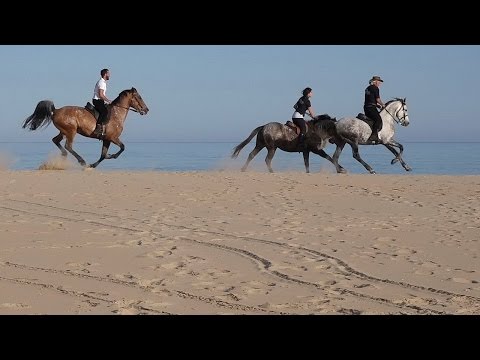 Sardegna Cavalcare a Chia  HD
