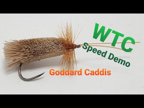 WTC Goddard Caddis