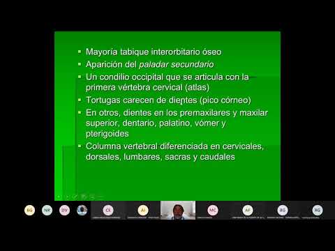 Zoología de Vertebrados (Reptiles) 4 DICIEMBRE