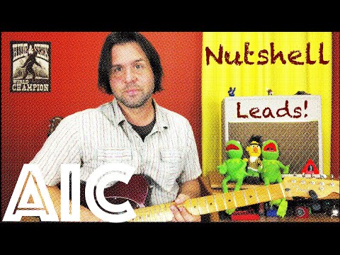 Guitar Lesson: Alice In Chains - Nutshell - Lead Guitar Parts!
