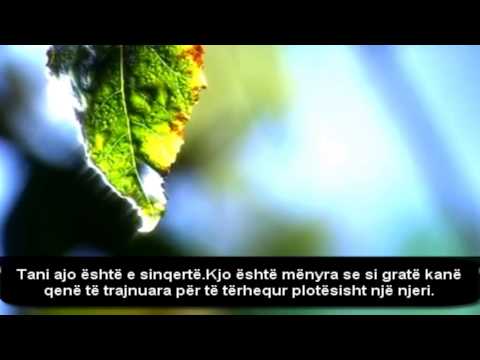 Pendimi i një vajze Ngjarje e vërtetë HD