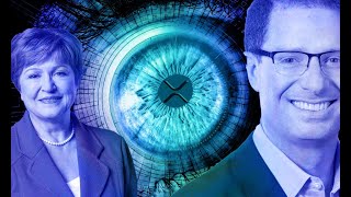 Video: IMF: Build a New, Post-COVID Economy: Digital, Green & Inclusive on Blockchain - Darren MooreJr