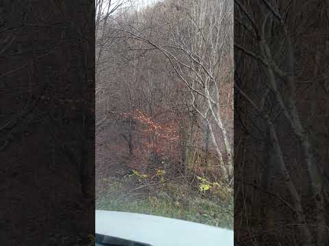 Cheile Intregalde , incercam traseul