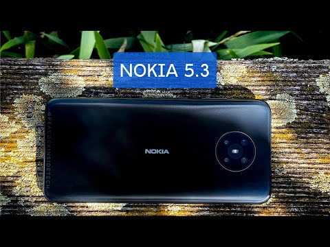 Nokia 5.3 Review and Camera Test - Best Phone under 200€? #nokia #peacockinsidetech