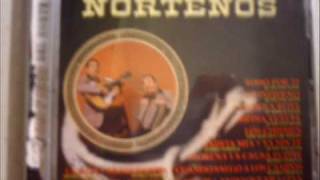 Ingrato Amor  - Los Alegres De Teran