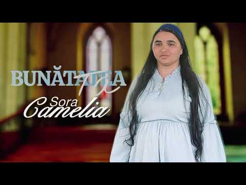 Sora Camelia- Bunătatea ta (cover)