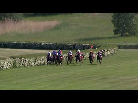 Dostihy Most 27. 5. 2023 - 4. dostih - Cena Hipodromu Most a.s.