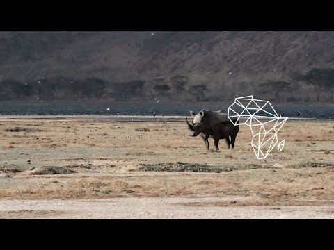 Col Lawton - Show Me (Original Mix) [Deep House / Atjazz Record Company]