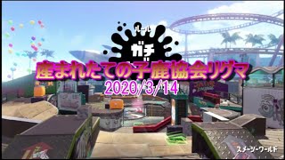 産まれたての子鹿協会リグマ　20200314