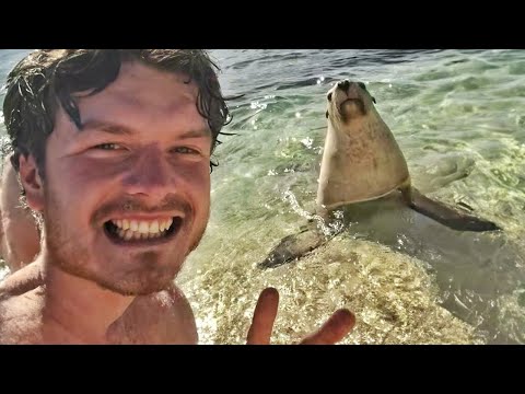 Quand les animaux et les hommes font de drôles de choses!Les animaux et les hommes les plus drôles