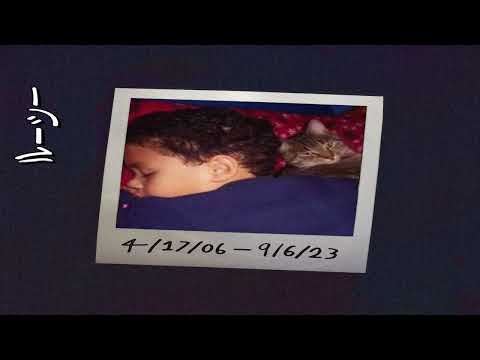 Adored video thumbnail