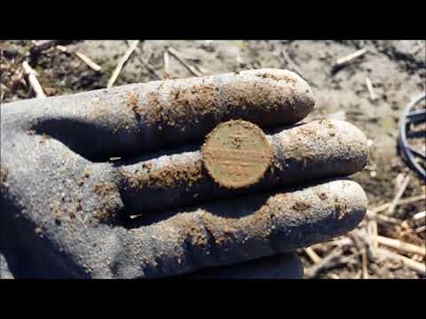 Der Bayern Sondler Teil 6 - Sondeln brachte meinen ersten HORTFUND und viele andere schöne Funde