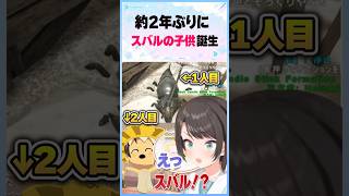 伝説のARKの出産から約２年、新しい子供ができるスバルｗ【大空スバル/ホロライブ/切り抜き】 #切り抜き #vtuber
