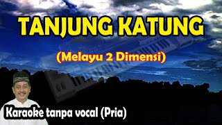 Download lagu Tanjung katung karaoke melayu 2 dimensi mp3