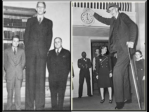 Tallest man in the world (8 ft 11 inch)