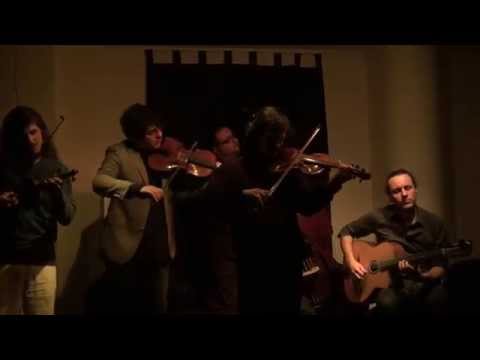 Tcha Limberger et les Violons de Bruxelles - What is this thing called Love