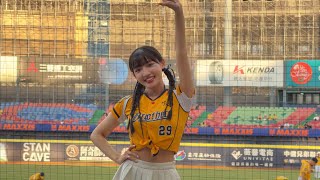 【少鹽 莎莎 儀諪】勝利卡農#PassionSisters#台湾チアリーディングチーム#中華職棒#CPBL#洲際#20241005