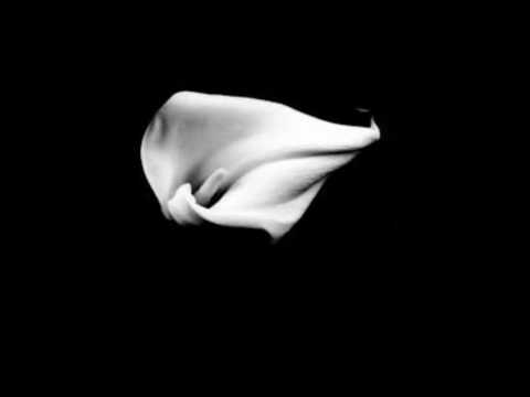 Unbreak My Heart Cover