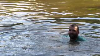 Man swims with wild Alligators and Feeds them!