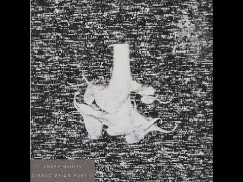 STRVNGX CVSX PVRT II (INTRX)