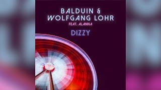 Cover art for Dizzy Dizzy Radio Edit