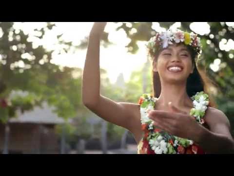 伊瓦 - 動物指南 - 夏威夷 - Expedia (‘Iwa | Animal Guide| Hawaiʻi | Expedia)