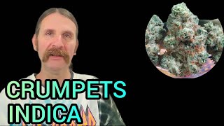 Crumpets | Indica | Weed Review 