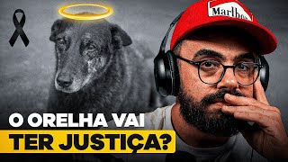 o CACHORRO ORELHA terá JUSTIÇA?
