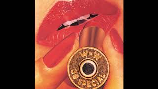 38 SPECIAL. Stone Cold Believer. Rockin&#39; into the Night.